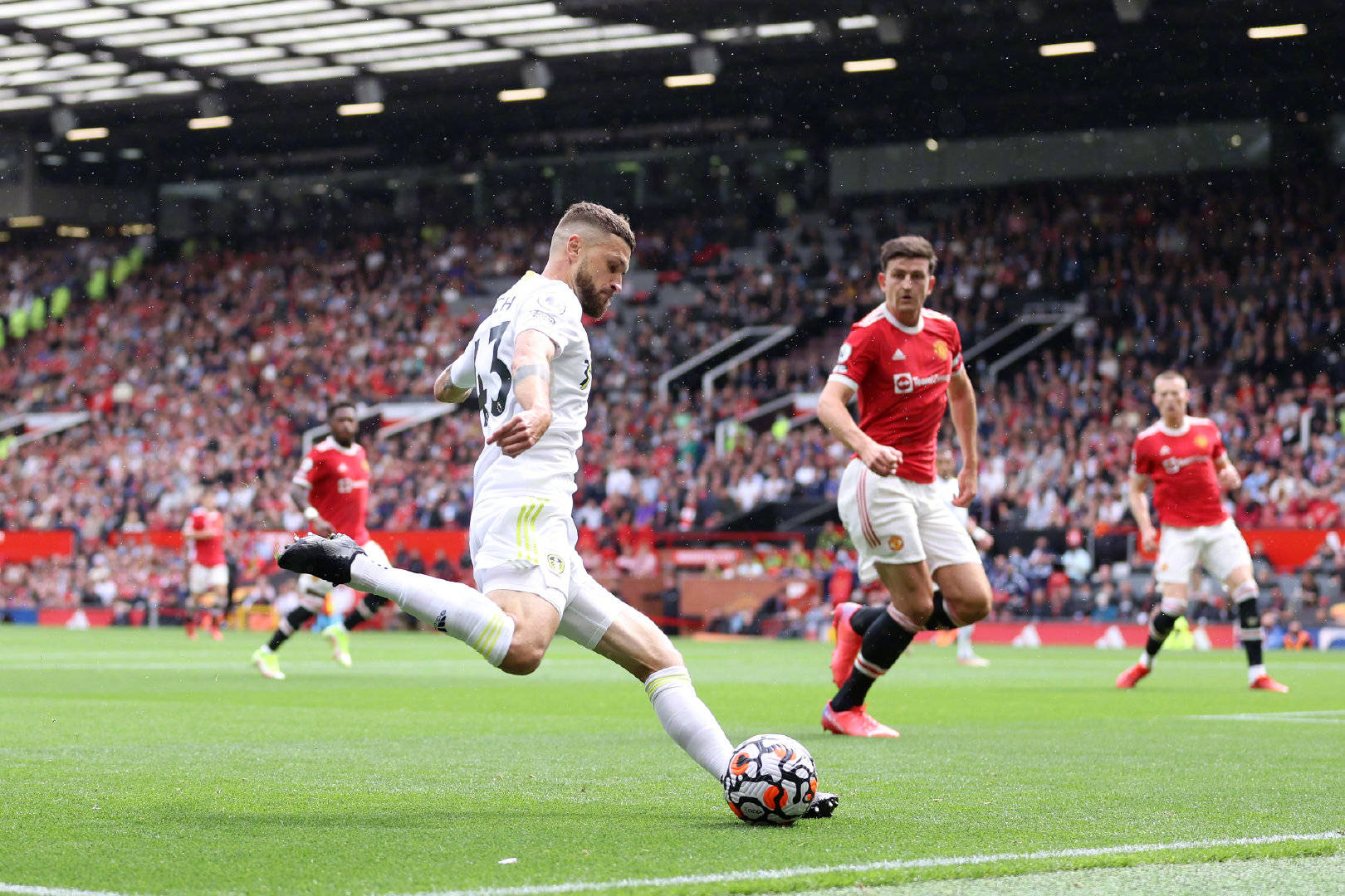 稚的成长历 稚的成长历